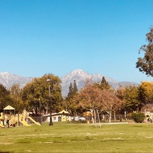 Meet your Posher, Ronald